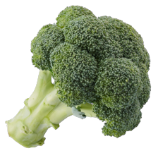 Broccoli